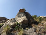 PC023515