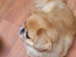 DSC00010