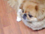 DSC00011