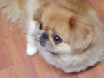 DSC00012