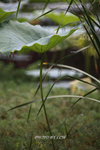 IMG_1945