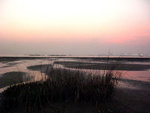 aIMG_1055
