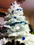 My X'max tree