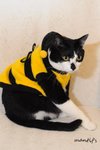 cat10