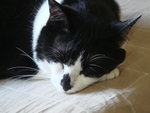 DSC00970
