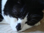 DSC00971