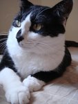 DSC00979