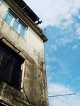 DSC04594