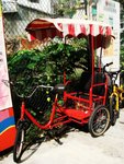 DSC04595