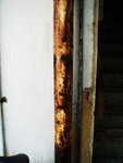 DSC04600