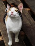 DSC04701