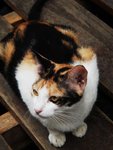 DSC04702