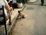 DSC04172