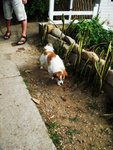 DSC04184