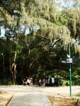 DSC04186