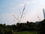 DSC04188