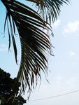 DSC04190