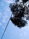 DSC04198