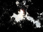 DSC04206