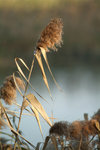 DSCF2052
