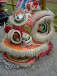DSC08771