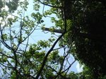 DSC01698