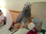 20060807002