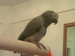 20060807012