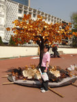 DSC03663
