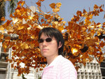 DSC03665