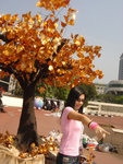 DSC03666
