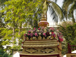 DSC03674