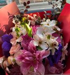 WhatsApp Image 2026-01-10 at 07.44.57