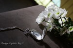 DPP_2667