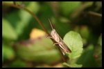 IMG_2404