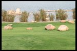 IMG_3851