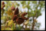 IMG_3855