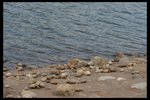 IMG_3873
