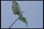IMG_3901