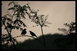 IMG_4195