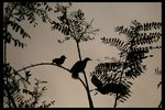 IMG_4196