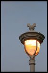 IMG_4220