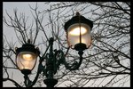 IMG_4227