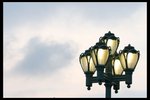 IMG_4270