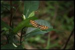 IMG_7103