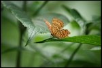 IMG_7119