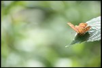 IMG_7147