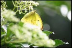 IMG_7177