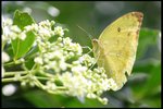 IMG_7183