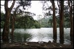 IMG_7224